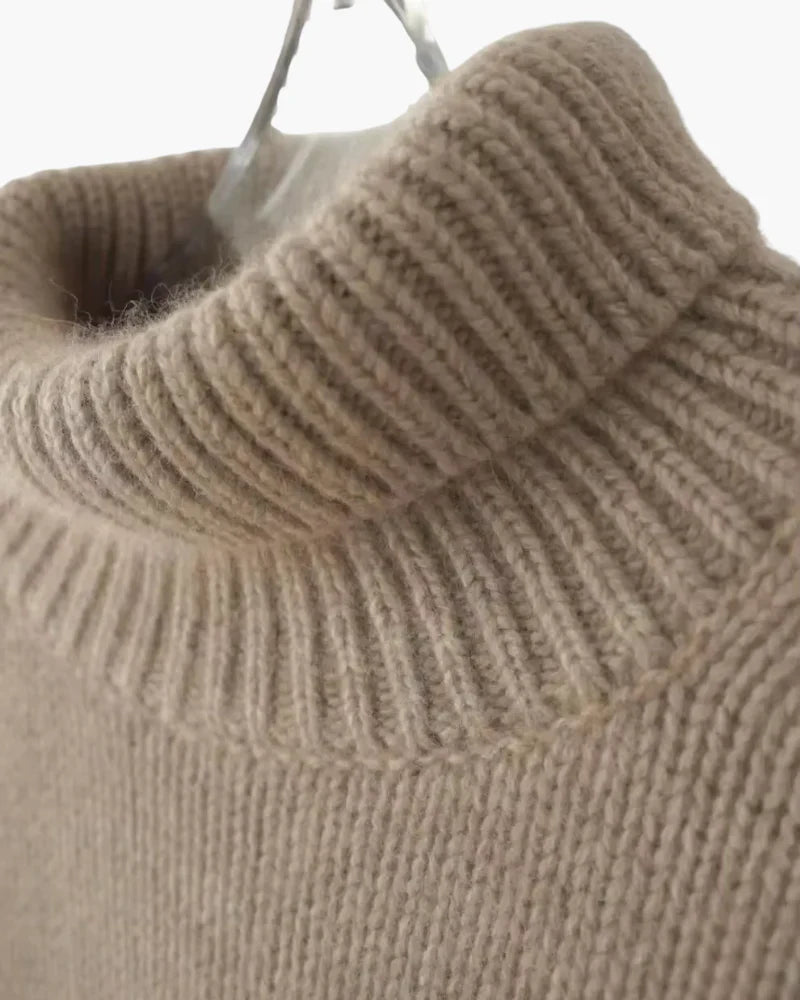 Soft Knit Roll Neck